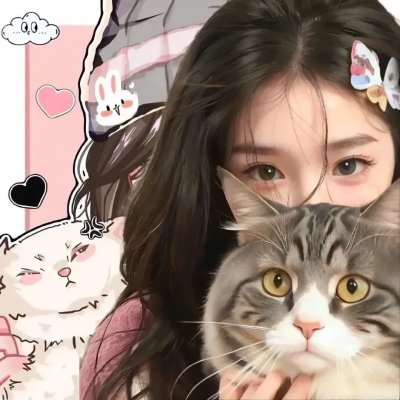 猫儿协奏曲